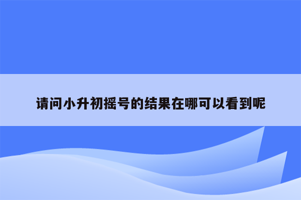 请问小升初摇号的结果在哪可以看到呢