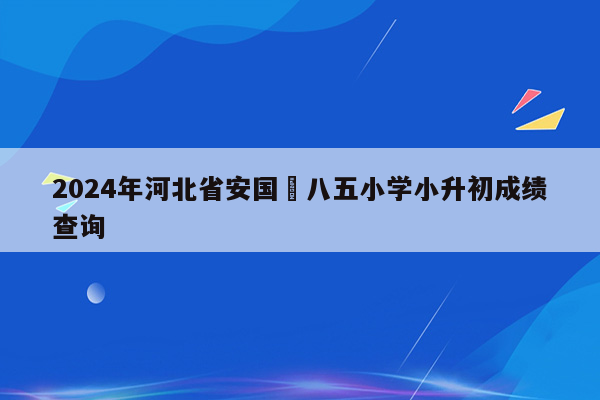 2024年河北省安国巿八五小学小升初成绩查询