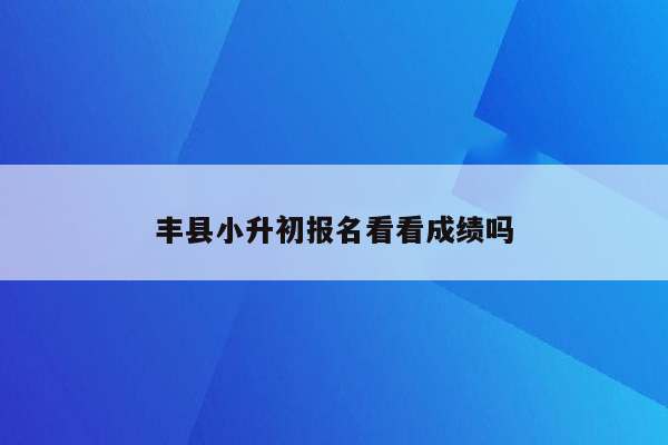 丰县小升初报名看看成绩吗