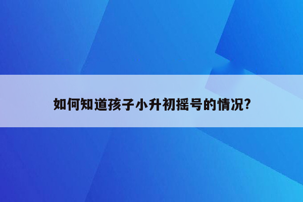 如何知道孩子小升初摇号的情况?