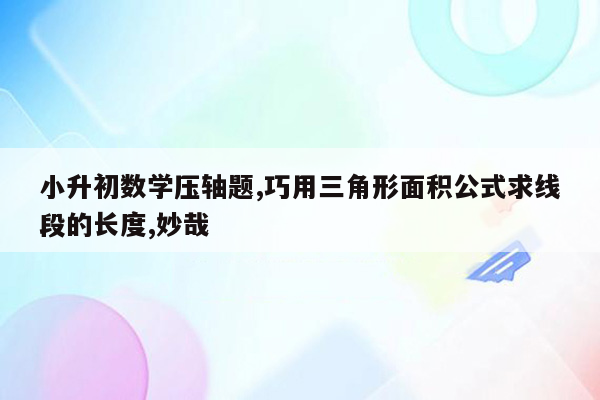 小升初数学压轴题,巧用三角形面积公式求线段的长度,妙哉