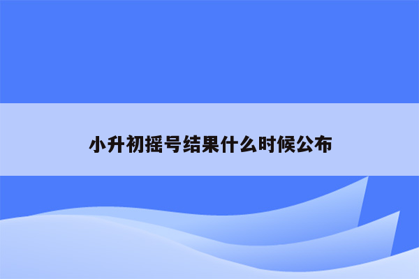 小升初摇号结果什么时候公布