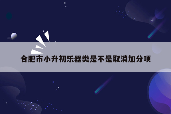 合肥市小升初乐器类是不是取消加分项