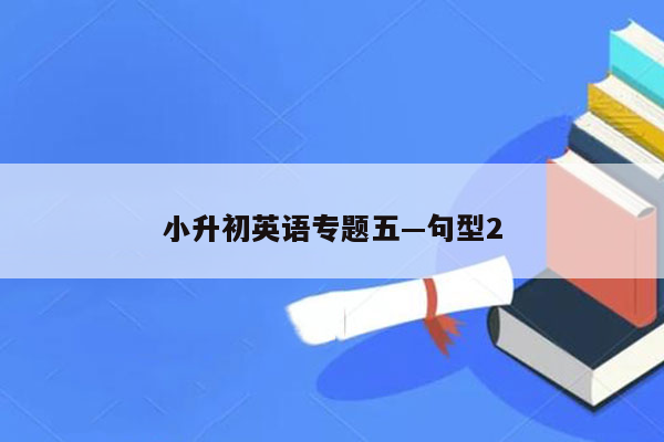 小升初英语专题五—句型2