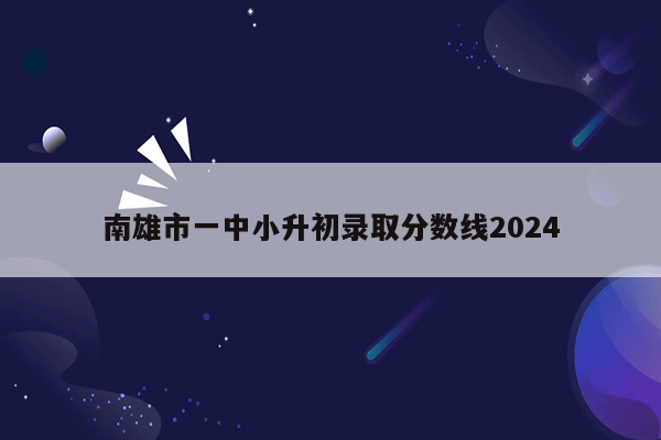 南雄市一中小升初录取分数线2024