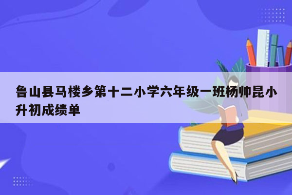 鲁山县马楼乡第十二小学六年级一班杨帅昆小升初成绩单