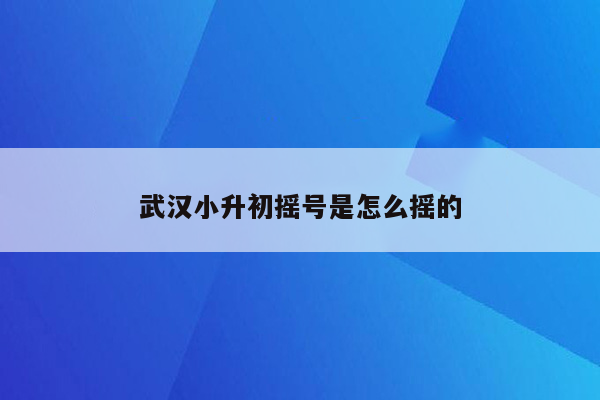 武汉小升初摇号是怎么摇的