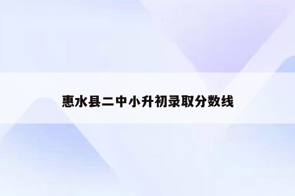 惠水县二中小升初录取分数线