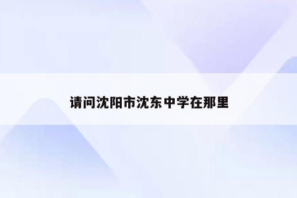 请问沈阳市沈东中学在那里