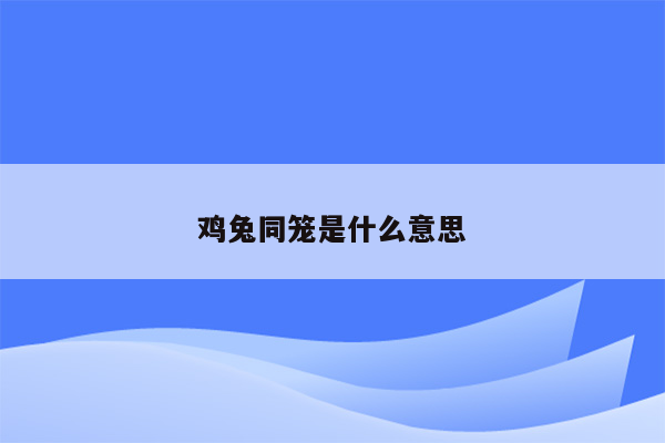 鸡兔同笼是什么意思