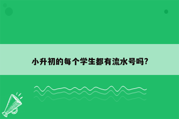 小升初的每个学生都有流水号吗?