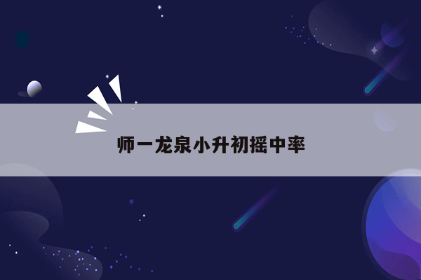 师一龙泉小升初摇中率