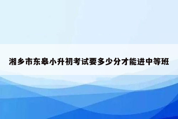 湘乡市东皋小升初考试要多少分才能进中等班