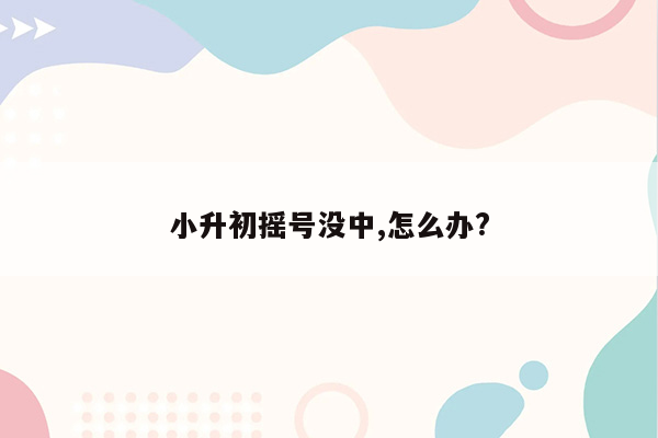 小升初摇号没中,怎么办?