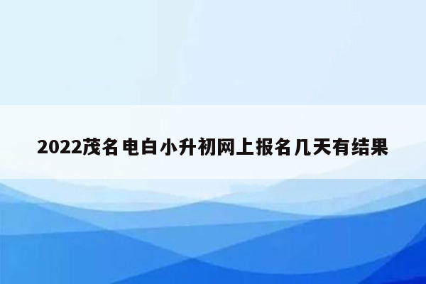 2022茂名电白小升初网上报名几天有结果