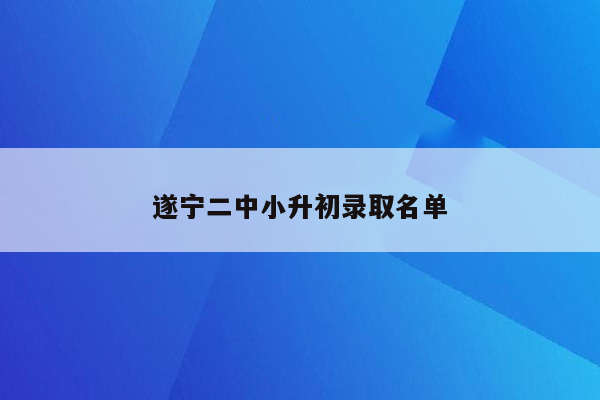 遂宁二中小升初录取名单