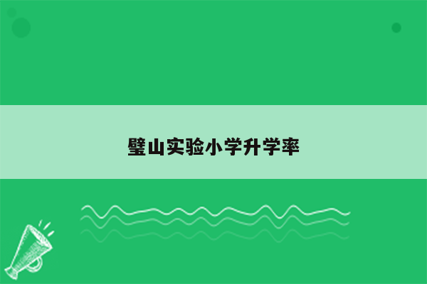 璧山实验小学升学率