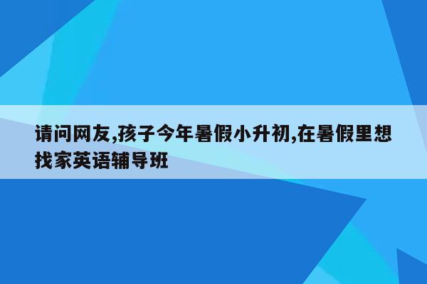 请问网友,孩子今年暑假小升初,在暑假里想找家英语辅导班