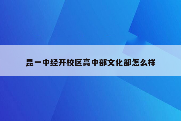 昆一中经开校区高中部文化部怎么样