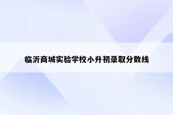 临沂商城实验学校小升初录取分数线