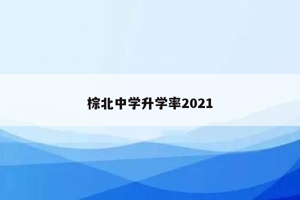 棕北中学升学率2021