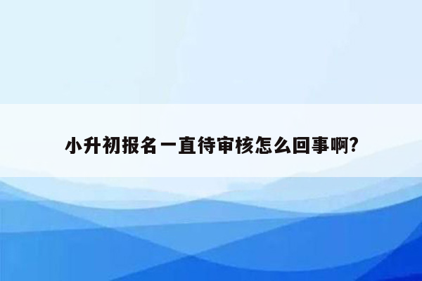 小升初报名一直待审核怎么回事啊?