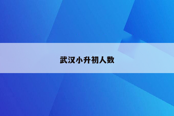 武汉小升初人数