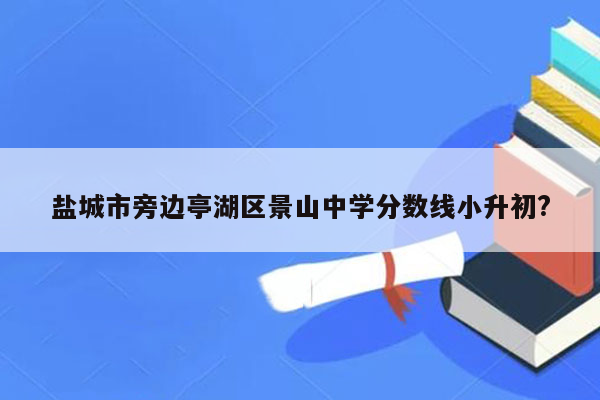 盐城市旁边亭湖区景山中学分数线小升初?