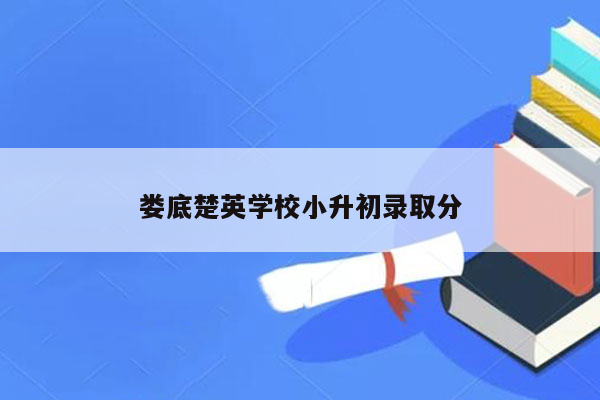 娄底楚英学校小升初录取分