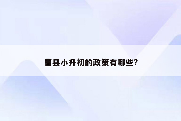 曹县小升初的政策有哪些?