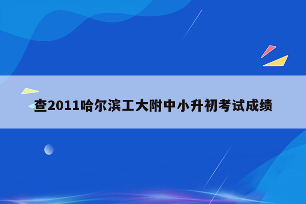 查2011哈尔滨工大附中小升初考试成绩