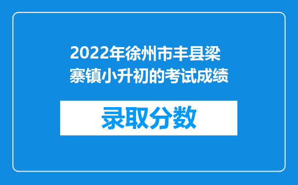 2022年徐州市丰县梁寨镇小升初的考试成绩