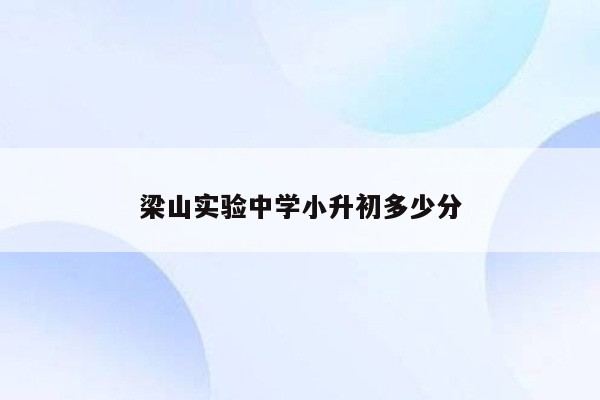 梁山实验中学小升初多少分