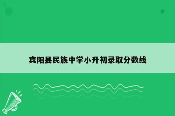 宾阳县民族中学小升初录取分数线