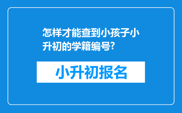 怎样才能查到小孩子小升初的学籍编号?