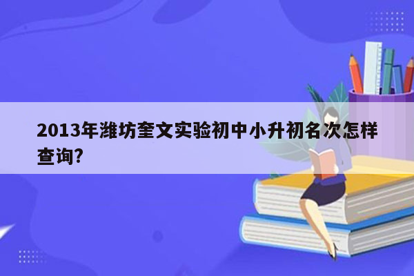 2013年潍坊奎文实验初中小升初名次怎样查询?