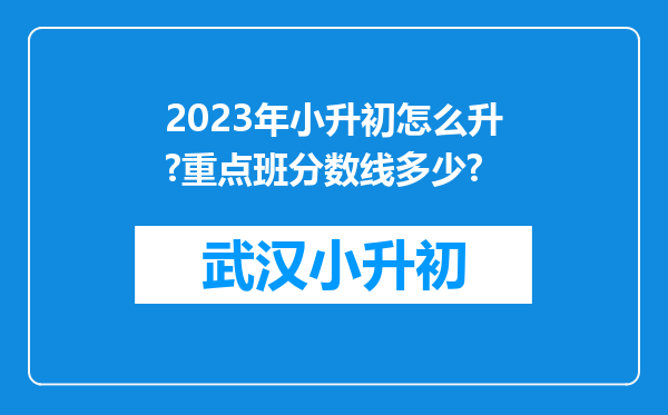 2023年小升初怎么升?重点班分数线多少?