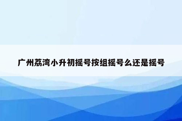 广州荔湾小升初摇号按组摇号么还是摇号