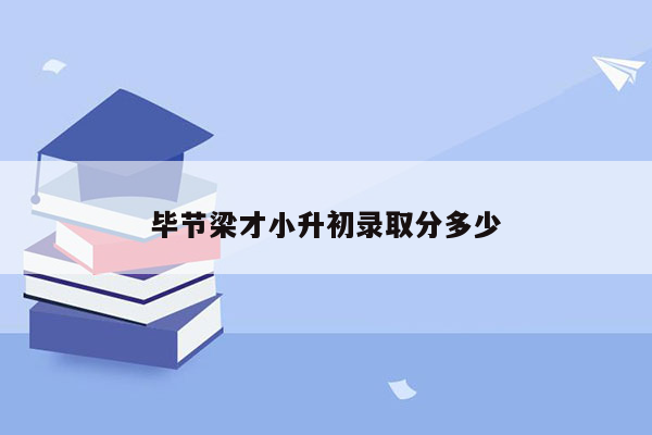 毕节梁才小升初录取分多少