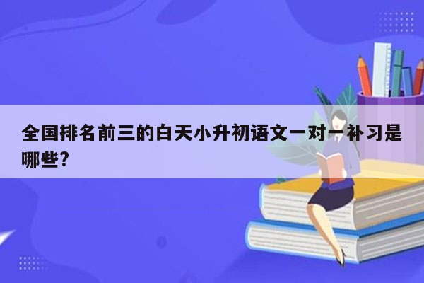 全国排名前三的白天小升初语文一对一补习是哪些?