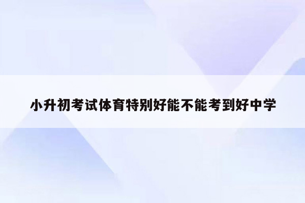 小升初考试体育特别好能不能考到好中学