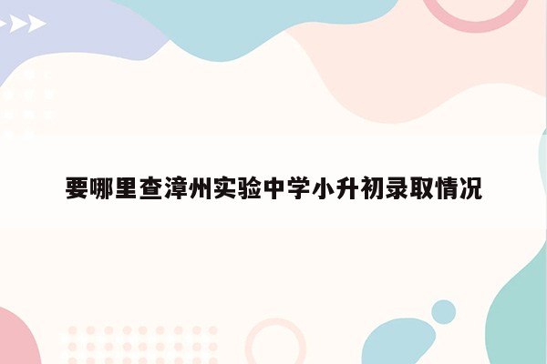 要哪里查漳州实验中学小升初录取情况