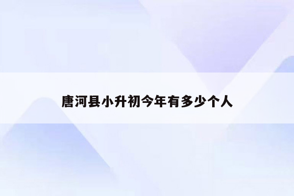 唐河县小升初今年有多少个人