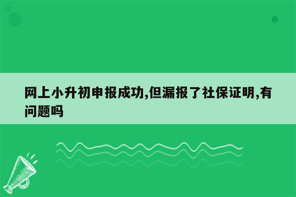 网上小升初申报成功,但漏报了社保证明,有问题吗