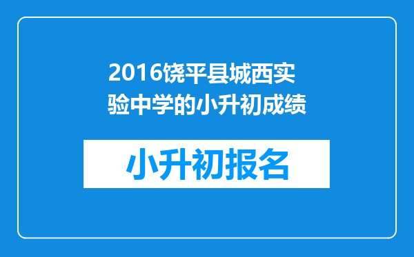 2016饶平县城西实验中学的小升初成绩