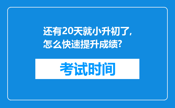 还有20天就小升初了,怎么快速提升成绩?