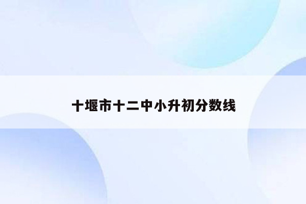 十堰市十二中小升初分数线