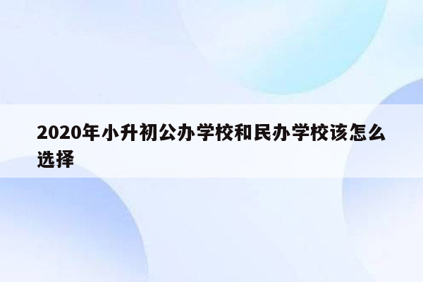 2020年小升初公办学校和民办学校该怎么选择