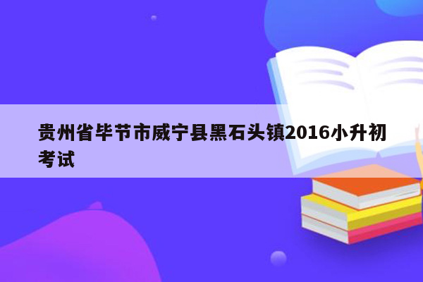 贵州省毕节市威宁县黑石头镇2016小升初考试