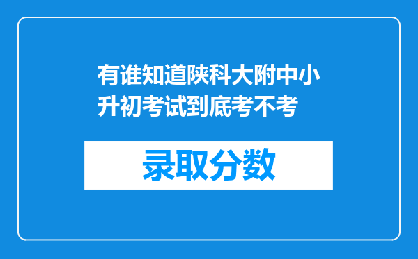 有谁知道陕科大附中小升初考试到底考不考